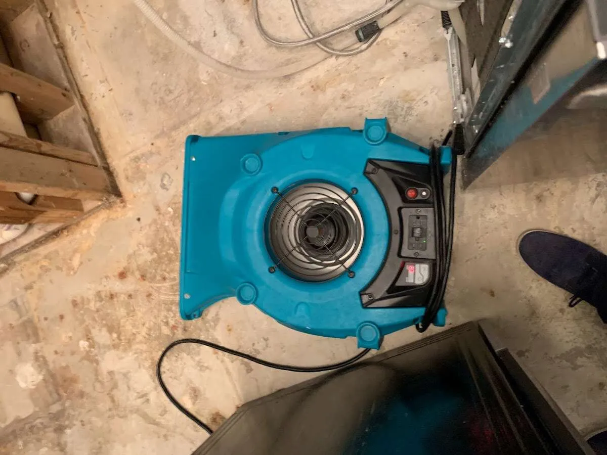 Air mover drying equipment for Mold Remediation & Removal in Alvin